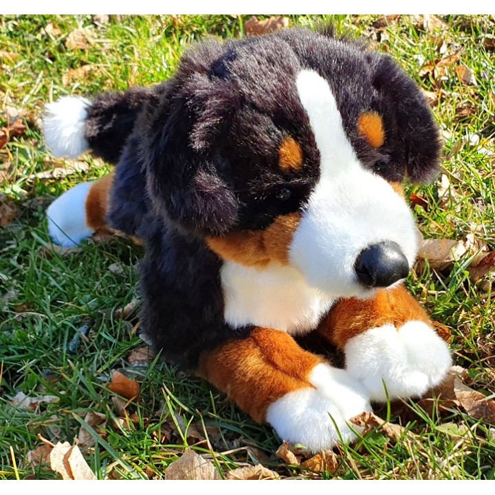 Peluche Chien Bouvier Bernois 31 cm