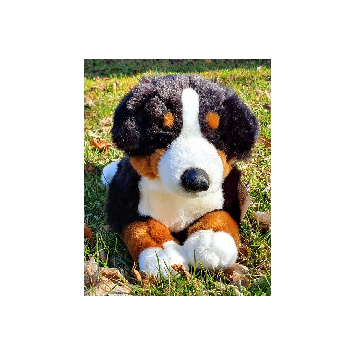 Peluche Chien Bouvier Bernois 31 cm