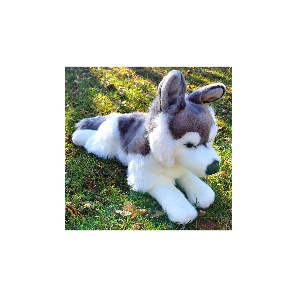 Peluche Chien Husky 45 cm