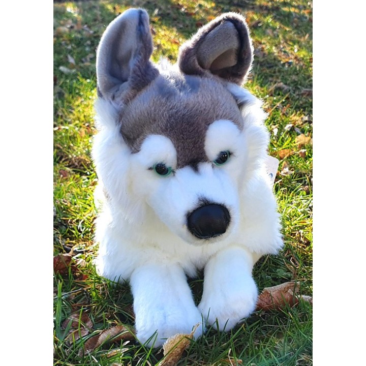 Peluche Chien Husky 31 cm