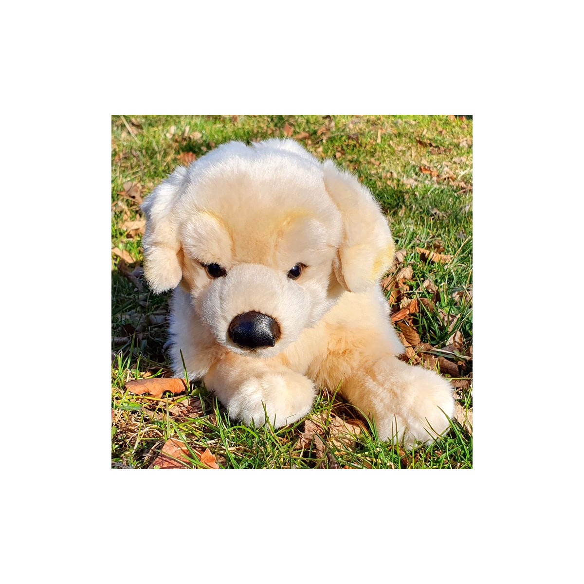 Peluche Chien Golden Retriever 31 cm