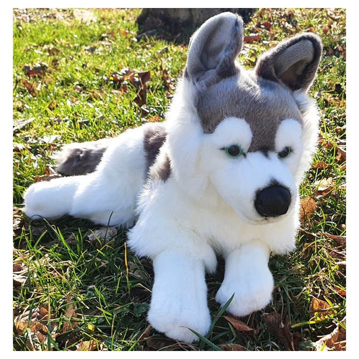 Peluche Chien Husky 45 cm