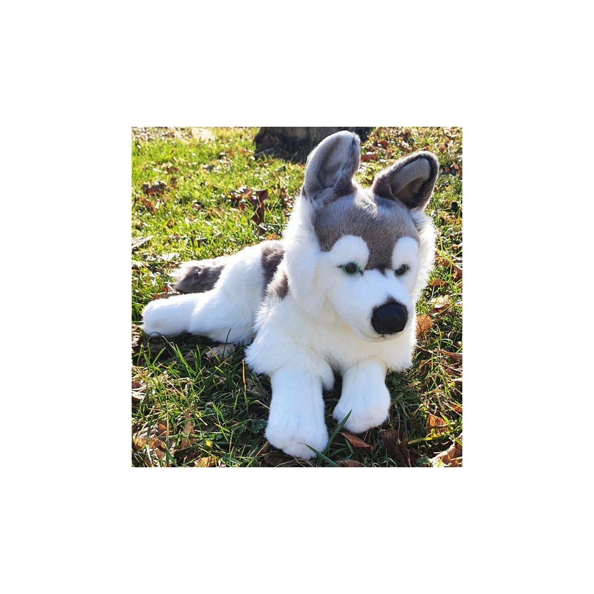 Peluche Chien Husky 31 cm
