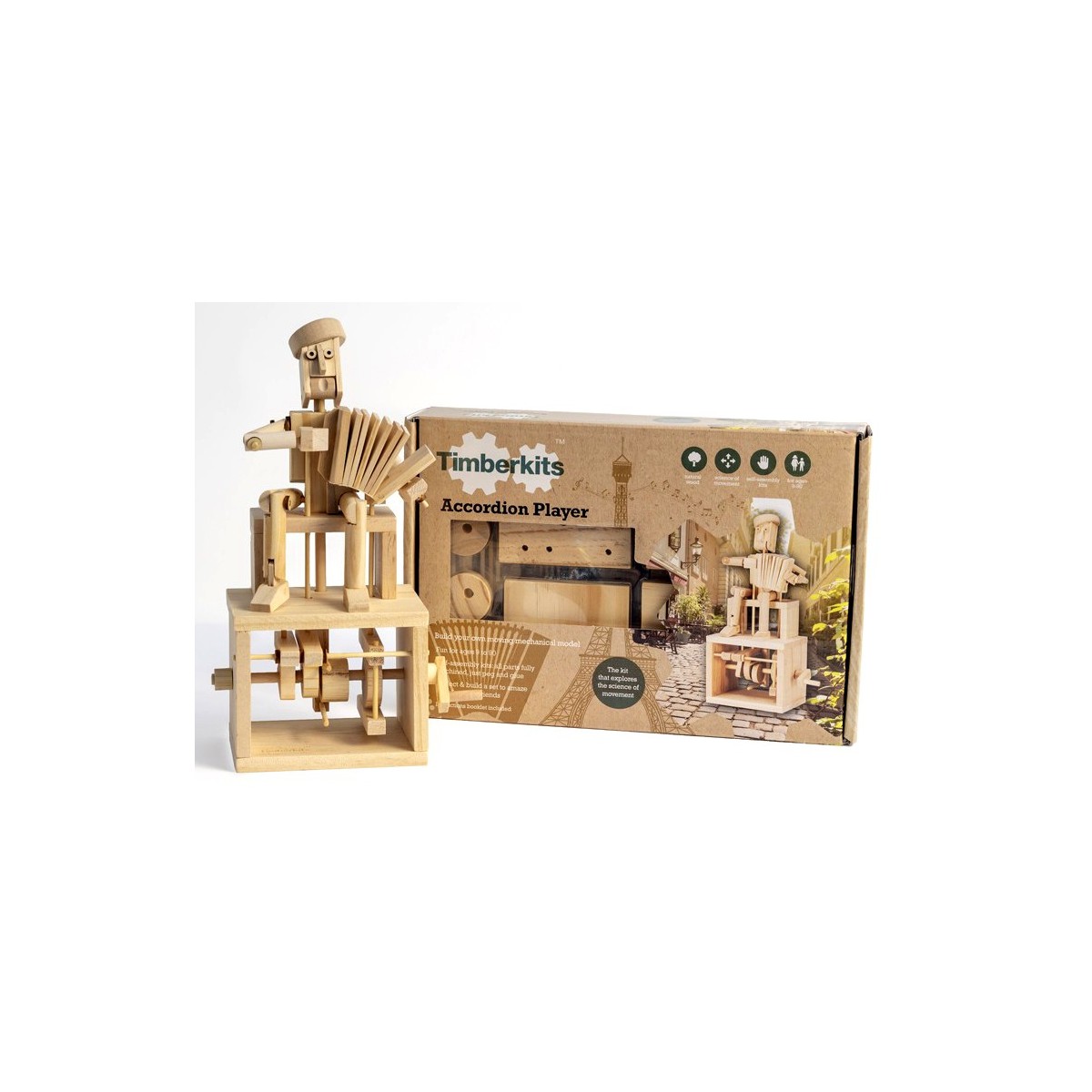 Automate en bois accordéoniste en kit 25 cm