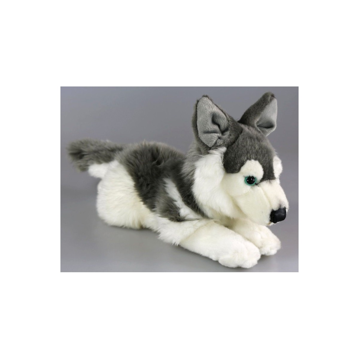 Peluche Husky 27 cm