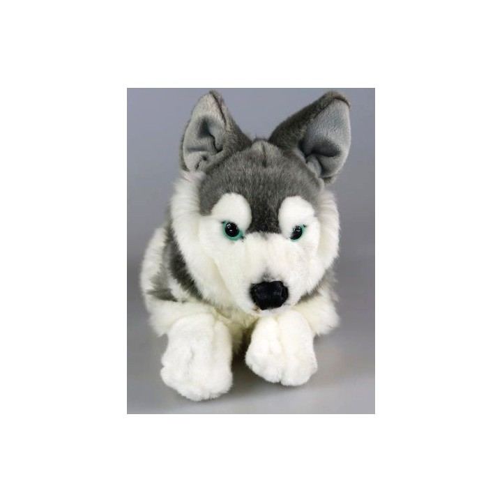 Peluche Husky 27 cm