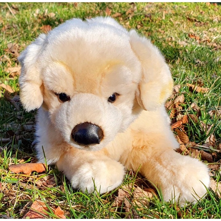 Peluche Golden Retriever 27 cm