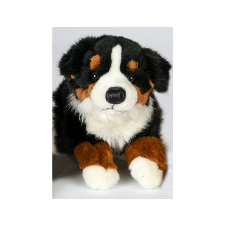 Peluche Bouvier Bernois 27 cm