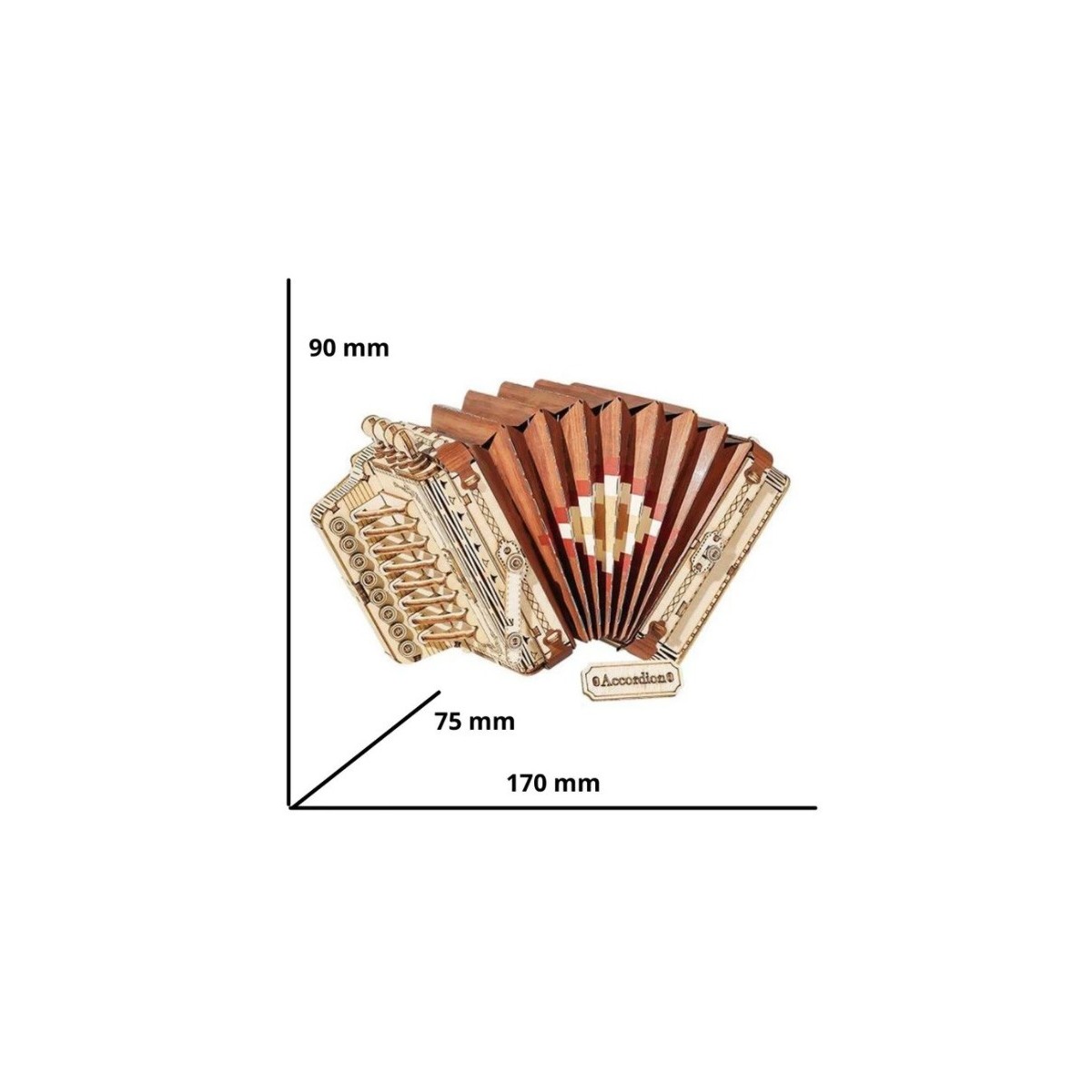 Maquette en bois Accordéon