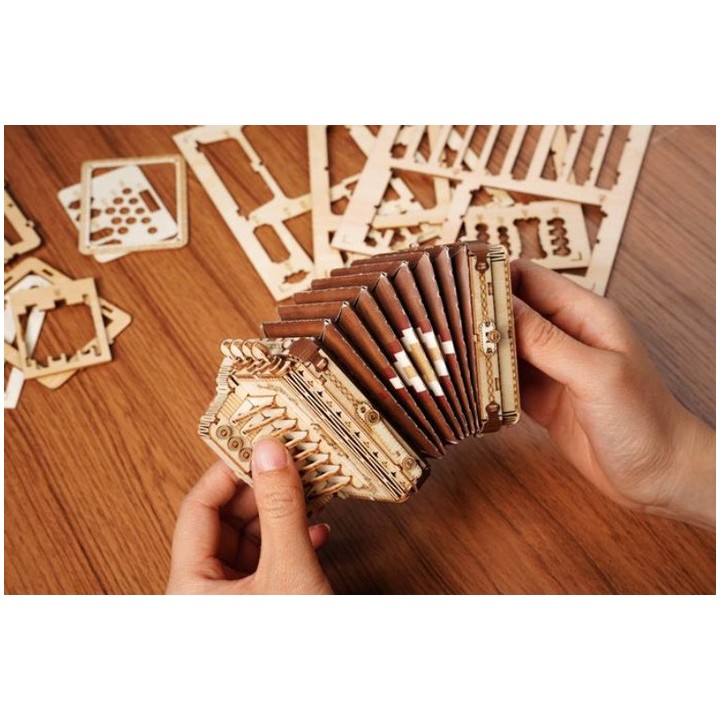 Maquette en bois Accordéon