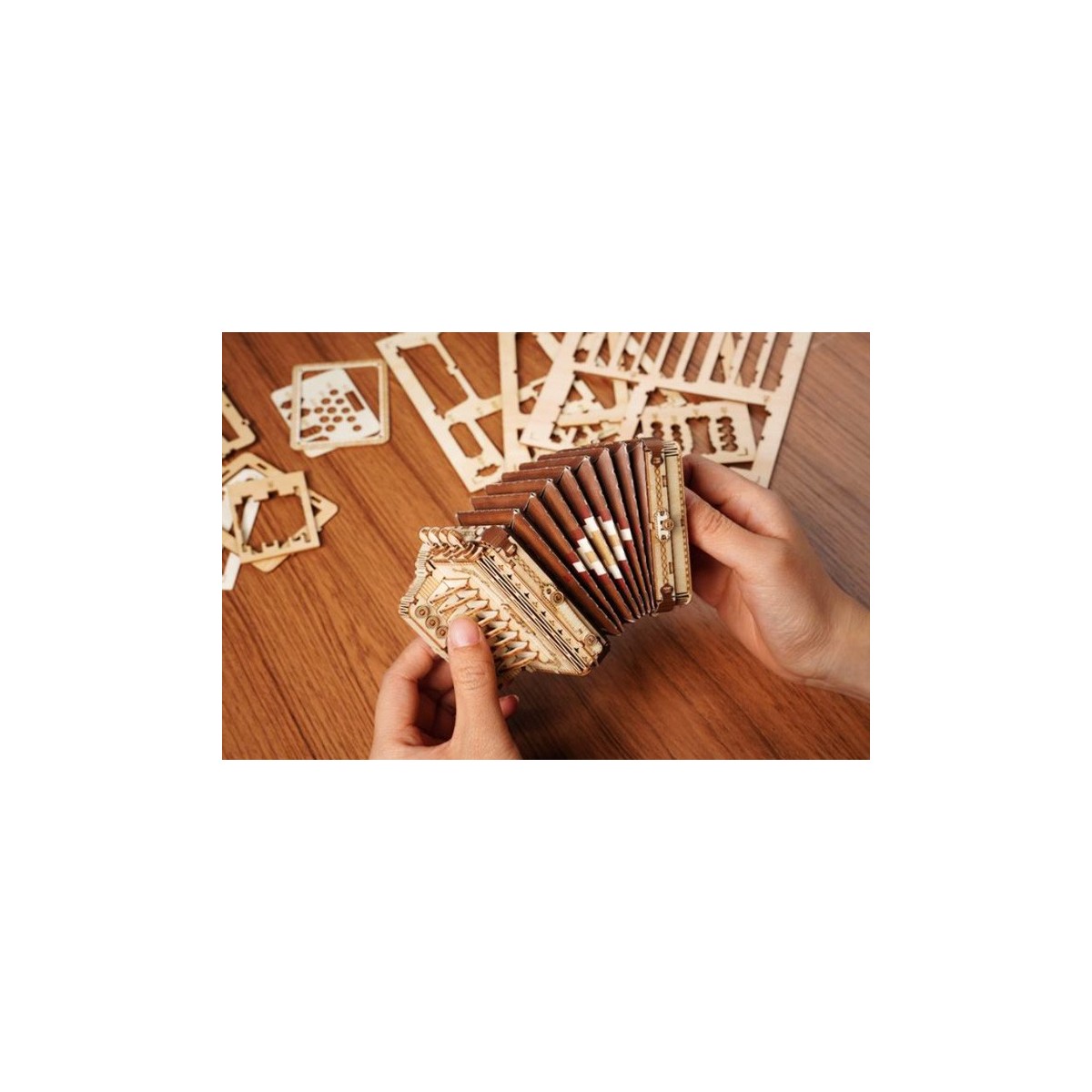 Maquette en bois Accordéon