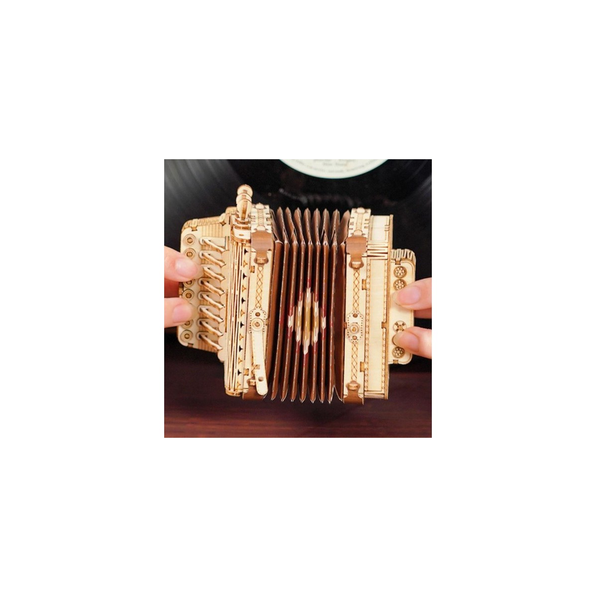 Maquette en bois Accordéon