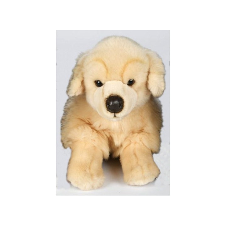 Peluche Chien Golden Retriever 31 cm