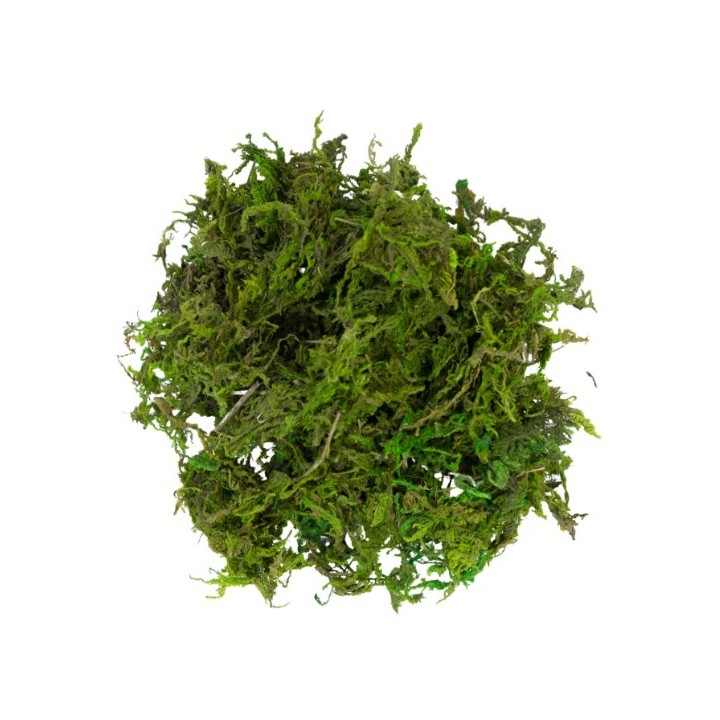 Mousse verte Sachet 30 g