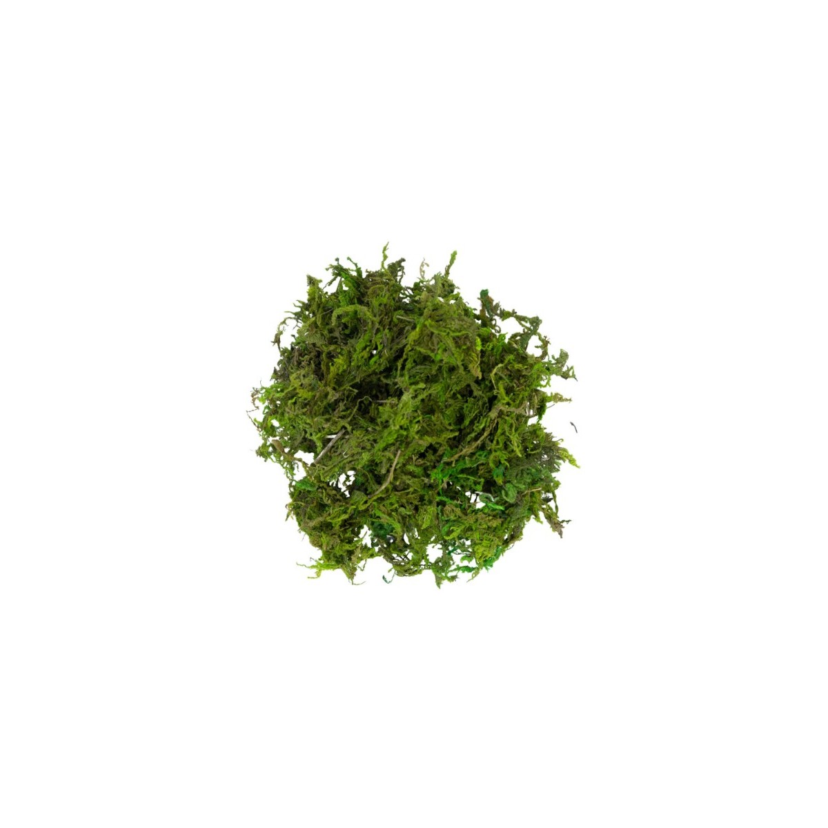 Mousse verte Sachet 30 g
