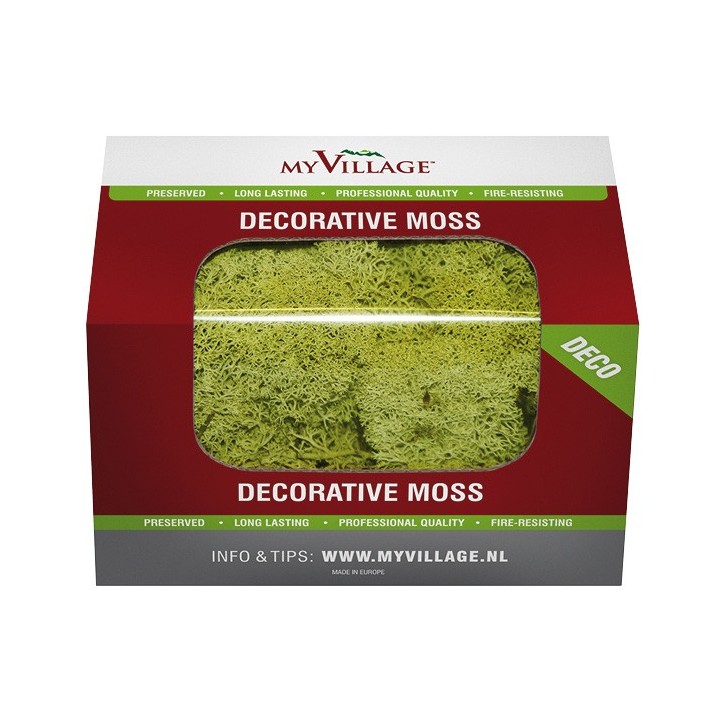 Mousse lichen vert clair 50 g