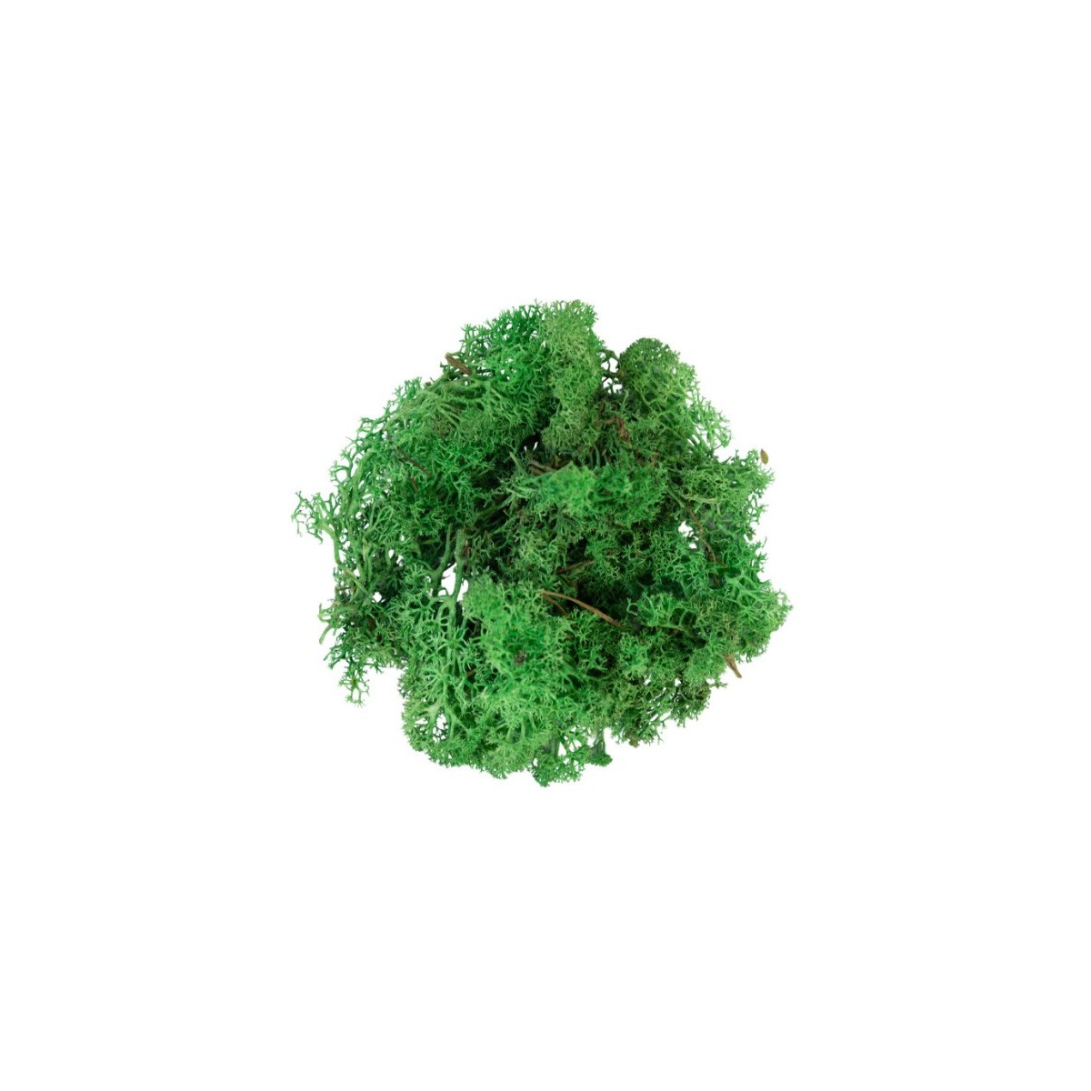 Mousse lichen vert 50 g