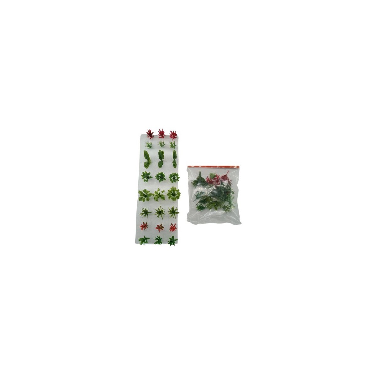 Mix de plantes 24 pièces