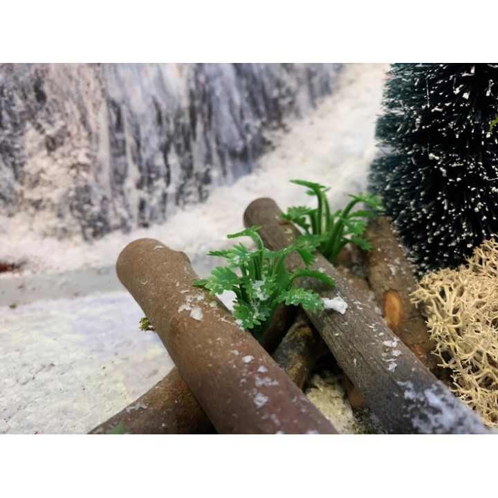 Mix de plantes 24 pièces