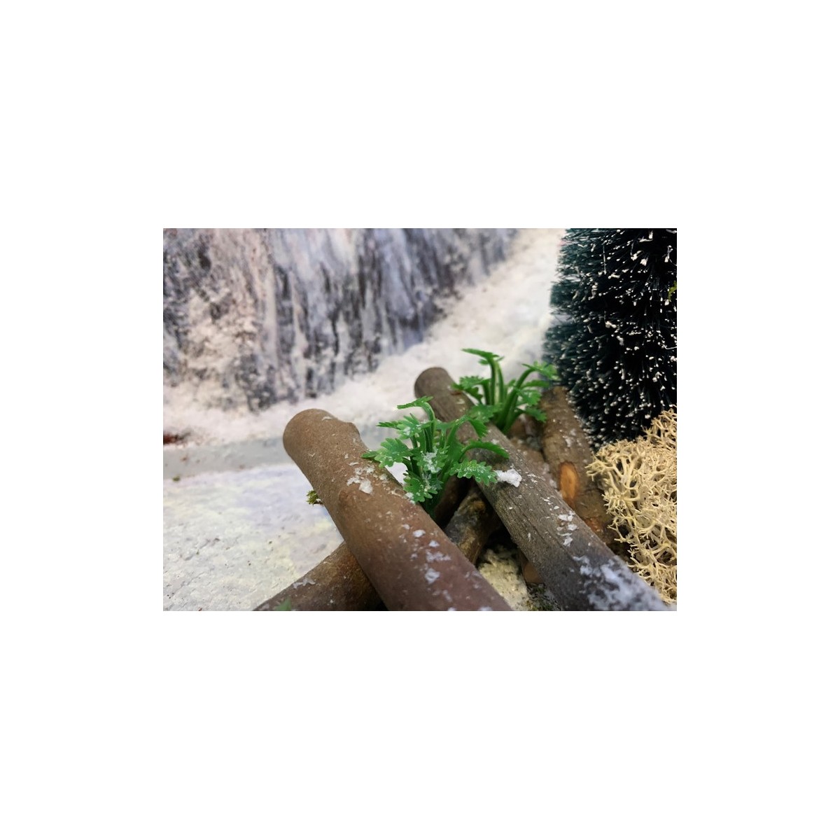 Mix de plantes 24 pièces