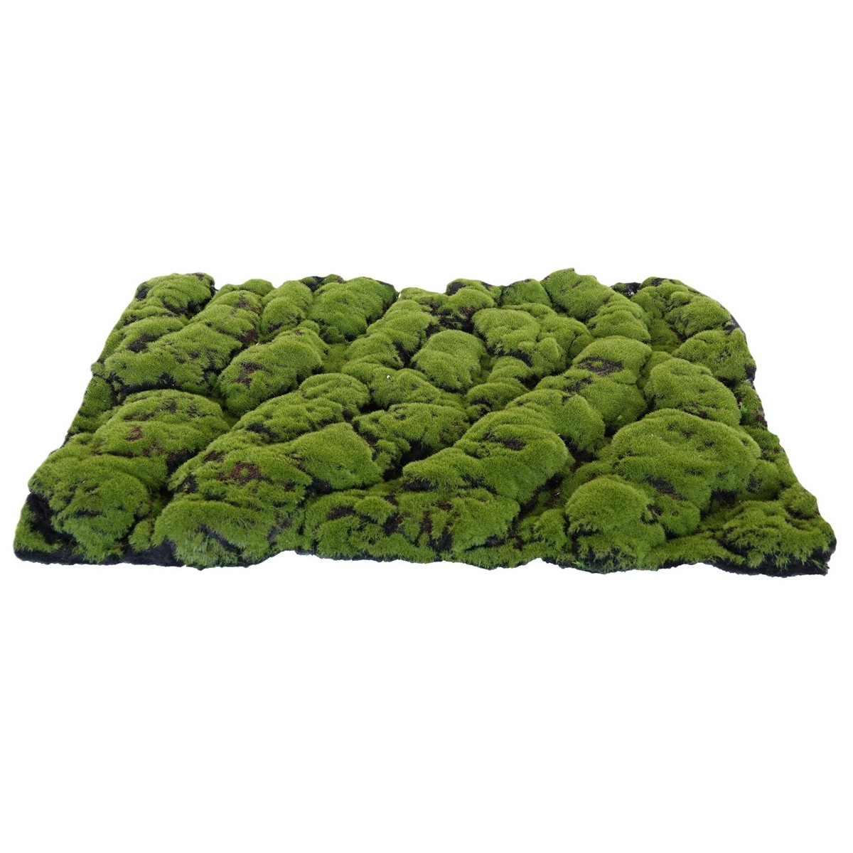 Tapis mousse épaisse vert marron 70x50 cm