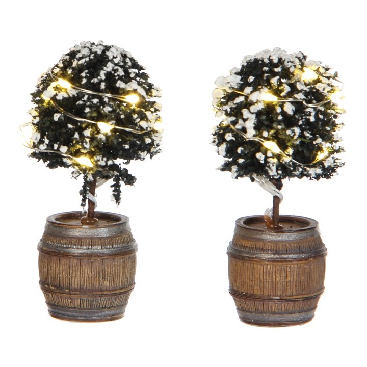 Buis lumineux Lot de 2 Luville