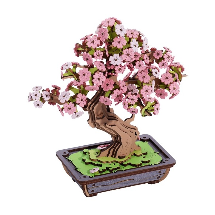 Maquette en bois Bonzaï ceiriser japonais