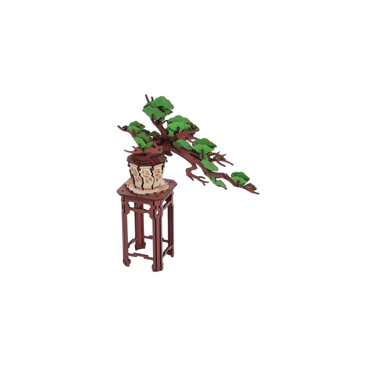 Maquette en bois Pin Bonsaï