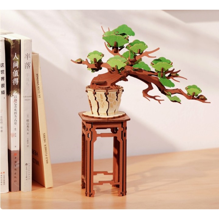 Maquette en bois Pin Bonsaï