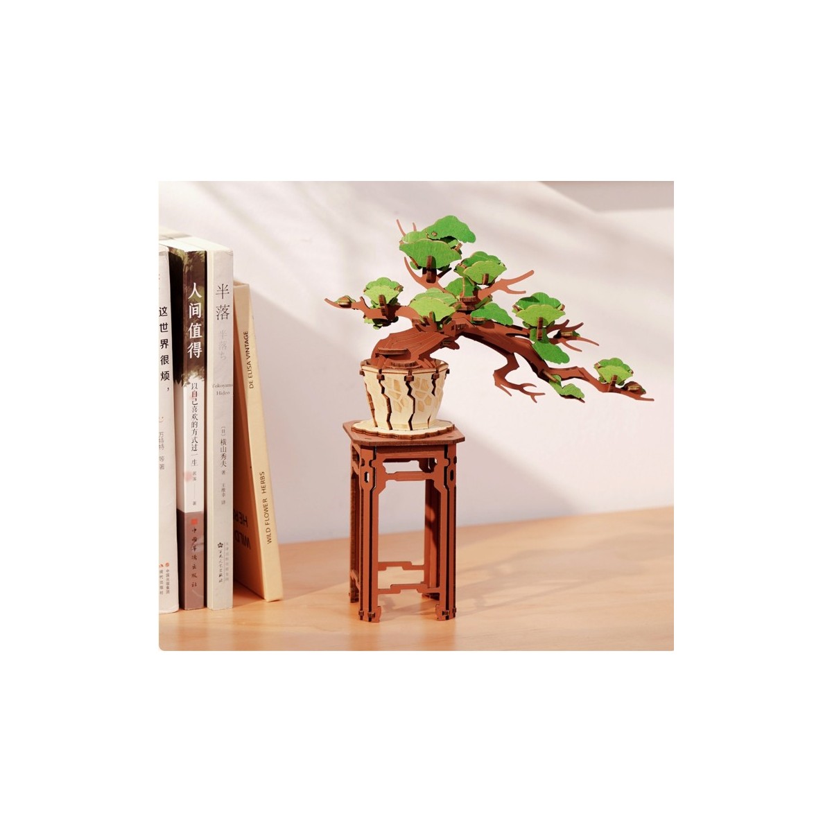 Maquette en bois Pin Bonsaï