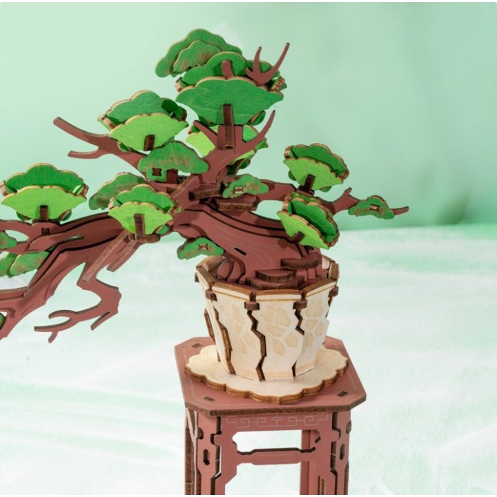 Maquette en bois Pin Bonsaï