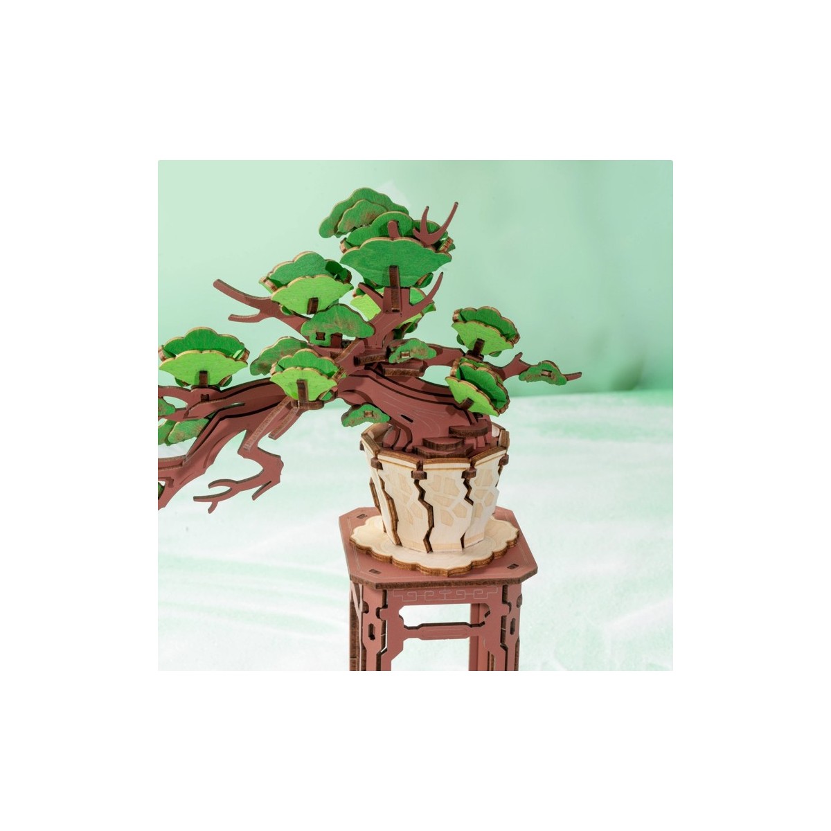 Maquette en bois Pin Bonsaï