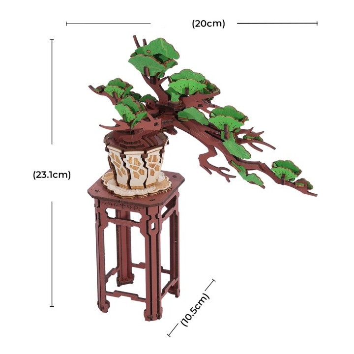 Maquette en bois Pin Bonsaï