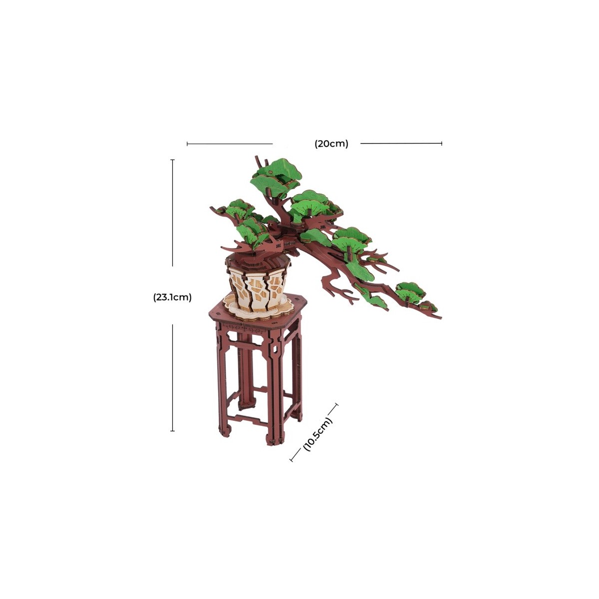 Maquette en bois Pin Bonsaï