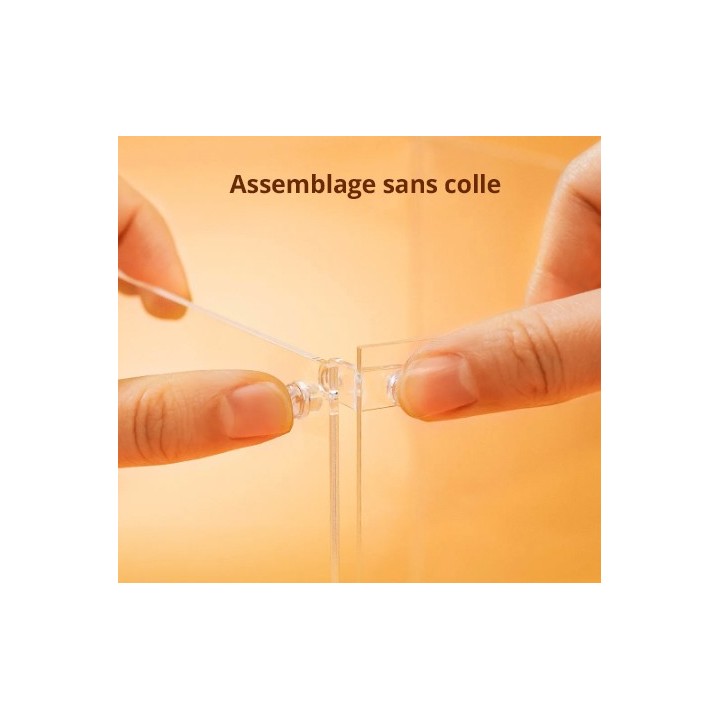 Boîte de présentation transparente anti-poussière