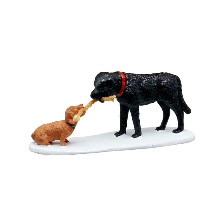 Chiens tirant une corde lemax