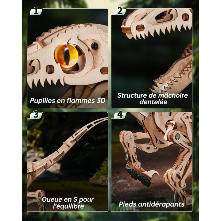 Maquette en bois animée Vélociraptor