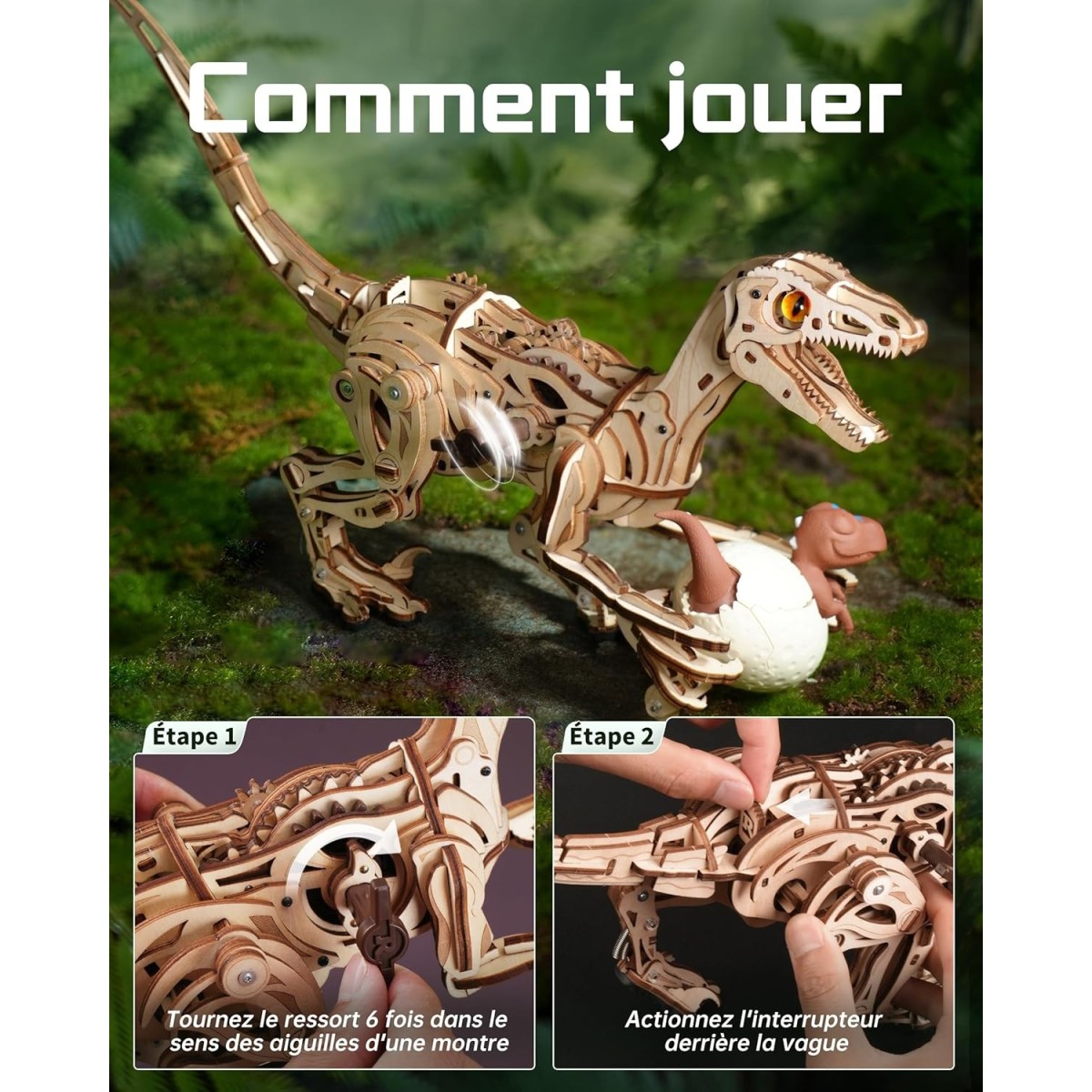 Maquette en bois animée Vélociraptor