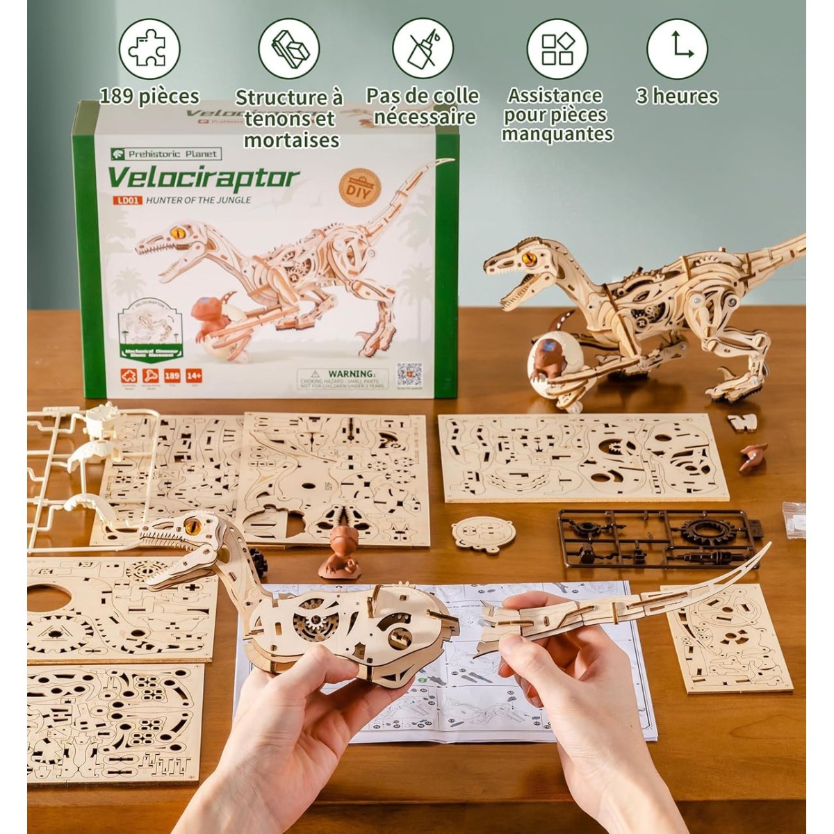 Maquette en bois animée Vélociraptor
