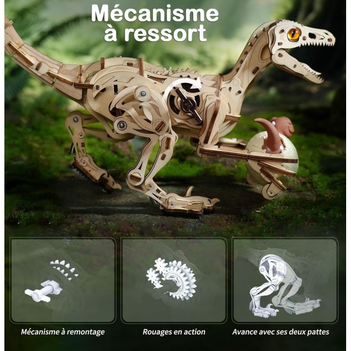 Maquette en bois animée Vélociraptor
