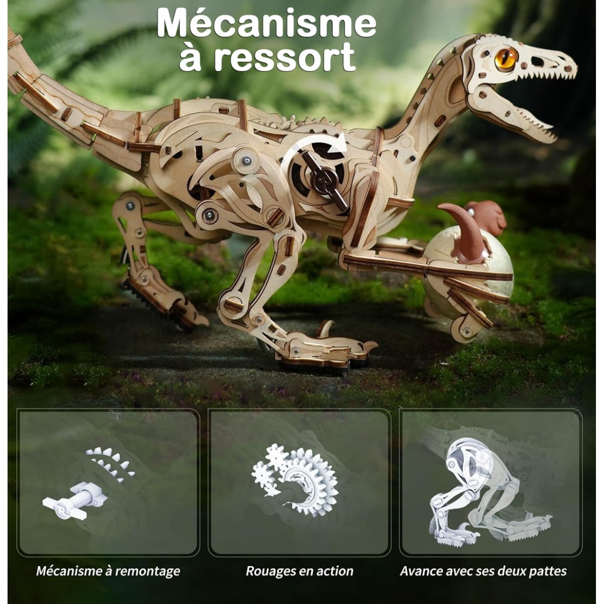 Maquette en bois animée Vélociraptor